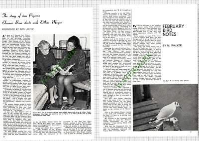 9267) Eleanor Bron Eithne Magee Actress Pegeen - 1968 Article