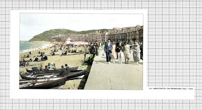 9743) Aberystwyth - Cutting
