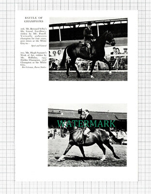 C5440) Horse Show Bernard Selby Powell Hugh Sumner Holliday - 1959 Cutting