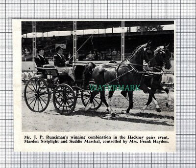 C5364) J P Runciman Hackney Horse Marden Striplight Mrs Frank Haydon - 1969 Clip