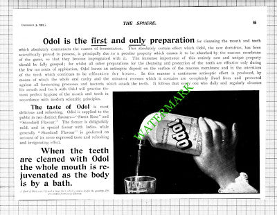 Odol Advert - 1903 Cutting