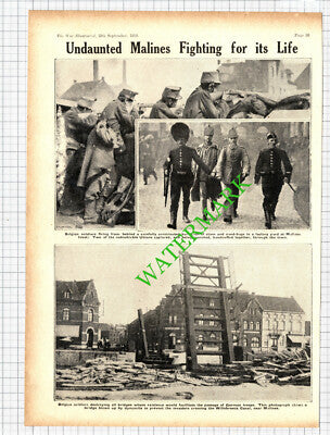 Malines Belgium World War One - 1914 Cutting