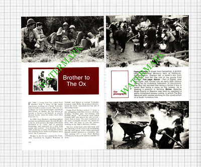 Brother To The Ox Fred Kitchen Hooton Levitt Graham Hill Film - 1982 Article