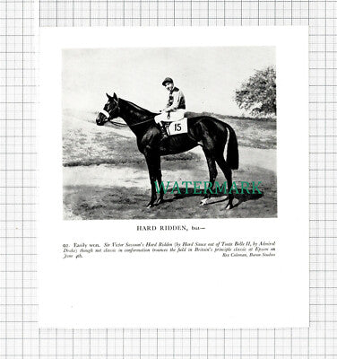 C5439) Sir Victor Sassoon Hard Ridden Horse - 1959 Cutting