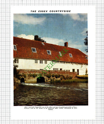 Abbey Watermill Coggeshall Essex - 1964 Cutting / Print