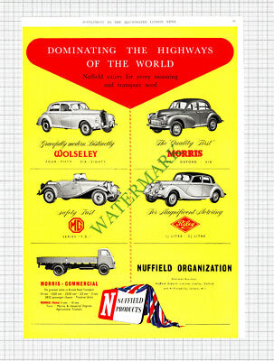 Austin Car Advert / Nuffield Organization - 1950 Cutting / Print