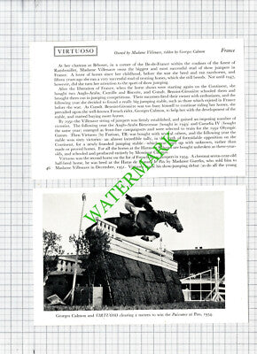 Georges Calmon Madame Villenave Behoust VIRTUOSO Horse - 1950s 2-Part Cutting