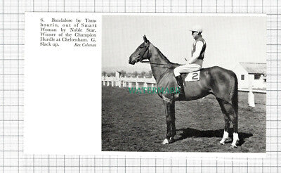 C5452) Bandalore Horse Racing G Slack - 1959 Cutting
