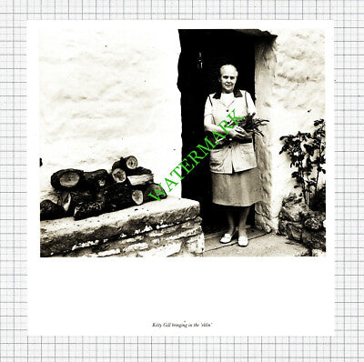 Kitty Gill Yorkshire - c.1980s Cutting