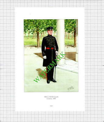Officer Welsh Guards- c.1990's Print