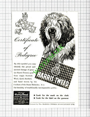 Harris Tweed Dog Advert - 1950 Cutting