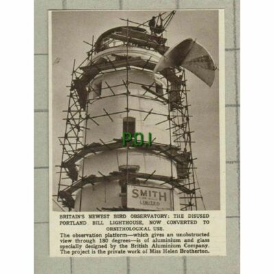 Portland Bill Lighthouse Bird Observatory Helen Brotherton - 1961 News Clipping
