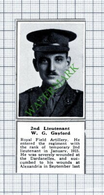 2nd Lt W G Gayford Royal Field Artillery WW1 - 1915 Small Cutting