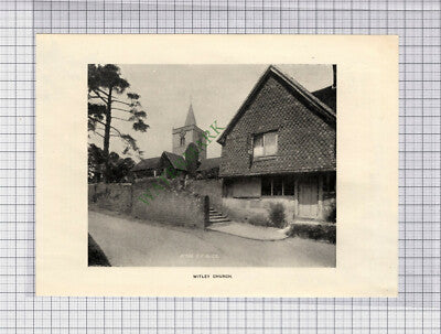 C3763) Witley Church Surrey - 1900 Cutting