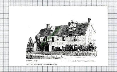 C7832) Little Hadham Hertfordshire - c.1980s Cutting