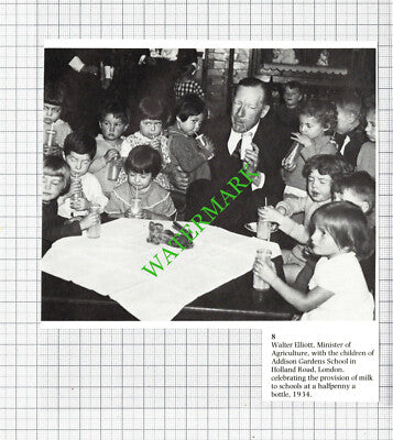 Walter Elliott Addison Gardens School Holland Road London -1980s Cutting