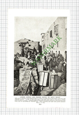 Jaffa Wharf Palestine - c.1930s Cutting / Print