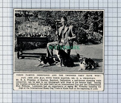 C4115) Mr E A Priestley Shatton Bamford Derbyshire Sheepdogs - 1950s Cutting