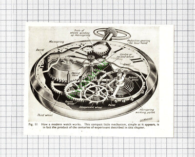 C568) How A Watch Works Leo Mander - c.1950s Small Cutting