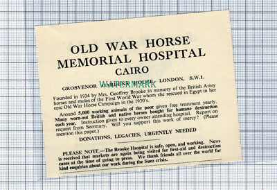 C4656) Old War Horse Memorial Hospital Cairo Geoffrey Brooke Advert - 1957 Clip