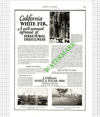 Miner Physicians Hospital Plattsburg Sonneborn / California White Fir - 1926