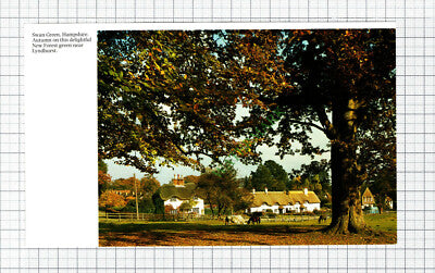 C7924) Swan Green Hampshire - 1980s Cutting