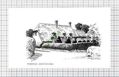 C7827) Therfield Hertfordshire - c.1980s Cutting