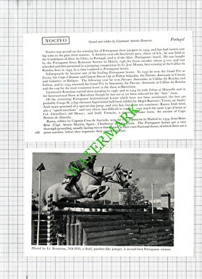 Lt Antonio Romeiras Portugal Horse NOCIVO -1950s 2-Part Cutting