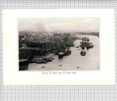8908) DOCKS FROM TOWER BRIDGE - c.1900 Print / Cutting