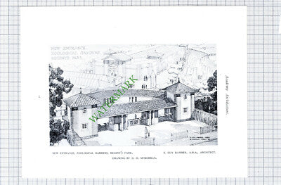 London Zoo Regent's Park Dawber / South African Bank Pretoria c.1928 Book Print