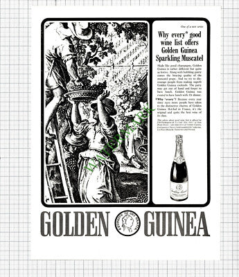 Golden Guinea Muscatel Advert - 1964 Cutting