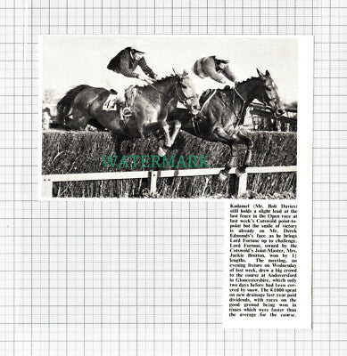 C5164) Mr Bob Davies Kadamel Horse Jumping Derek Edmunds Brutton - 1971 Cutting