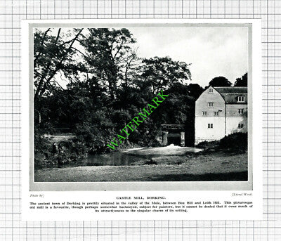 Castle Mill Dorking - 1920's Cutting
