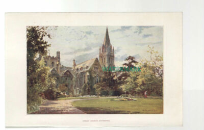 C4237) c.1900 OXFORD Christ Church Cathedral SMALL Book Print