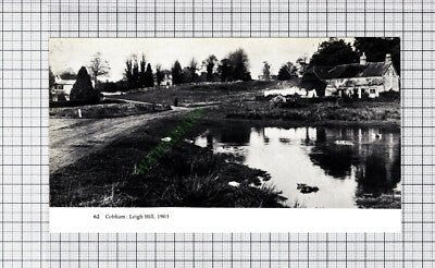 C1646) Leigh Hill Cobham Surrey - Cutting