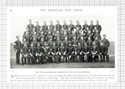 2nd Coldstreams Coldstream Guards Officers - c.1900 Cutting / Print