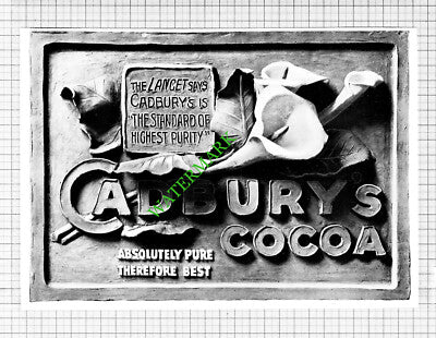 Cadbury's Cocoa Advert - - 1903 Clipping / Print