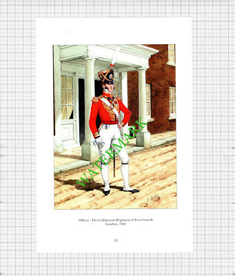 Officer The Coldstream Regiment Of Foot Guards London - c.1990's Print