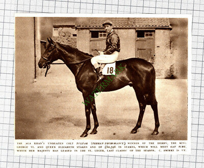 C1828) Aga Khan Horse TULYAR C Smirke - 1952 Cutting