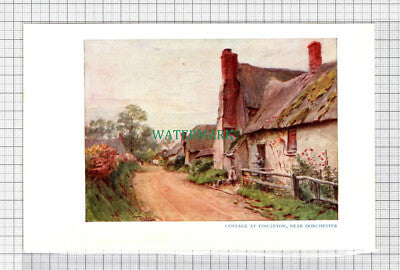 C5090) Cottage At Tincleton Near Dorchester Dorset - SMALL Print c.1948