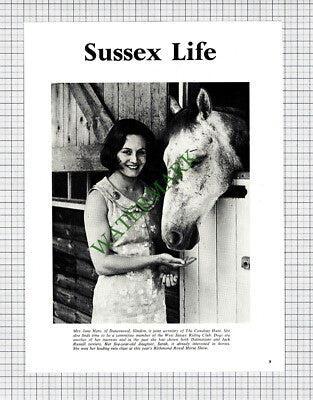 9245) Mrs Jane Hare Daneswood Slindon Sussex Cowdray Hunt - 1965 Cutting