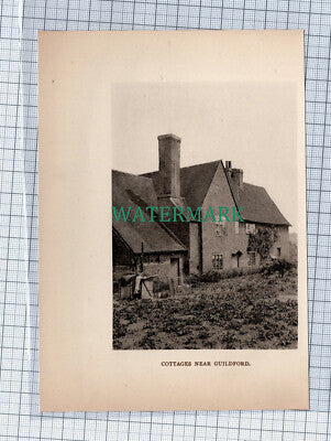 C4535) Guildford Surrey Cottages - 1908 Clip