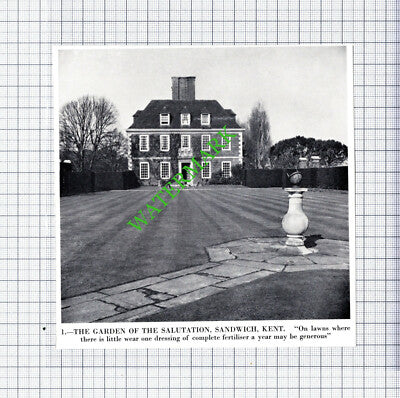 The Salutation Sandwich Kent - 1966 Cutting