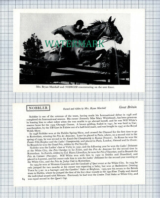 C4575) NOBBLER Mrs Bryan Marshall Horse Jumping - 2 Part Clip c.1955