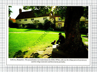 C8039) Selborne Hampshire - 1980s Cutting