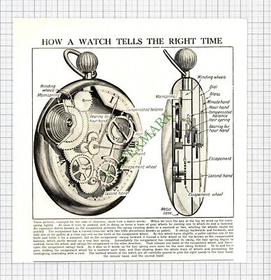9110) How A Watch Tells The Right Time - c.1930s Cutting