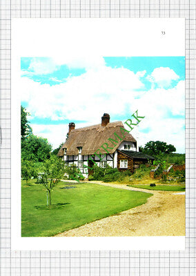 Emery Down New Forest Cottage - 1970s Cutting / Print