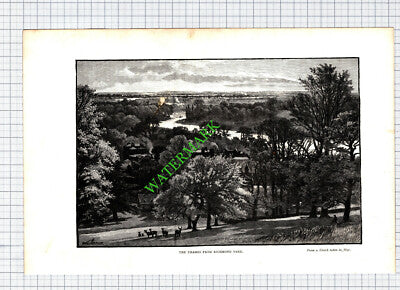 Richmond Park - c.1895 Print