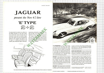 Jaguar E Type 2+2 Car Advert - 1966 2-Part Cutting