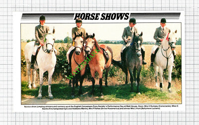 English Connemara Pony Society V Rumsey G Bache Parker Hunt - 1989 Cutting